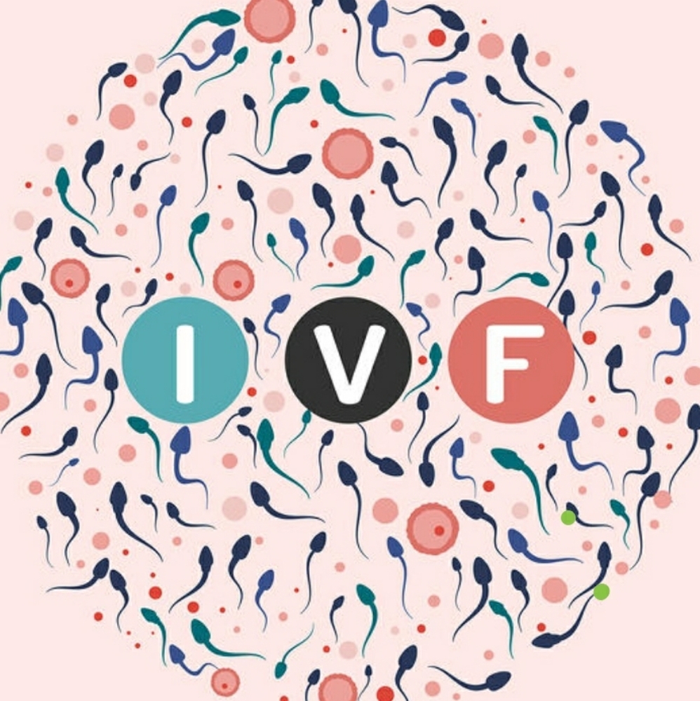 Support Our IVF Journey